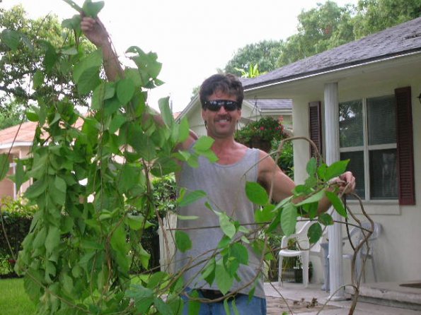 Nice Plant Nice Plant