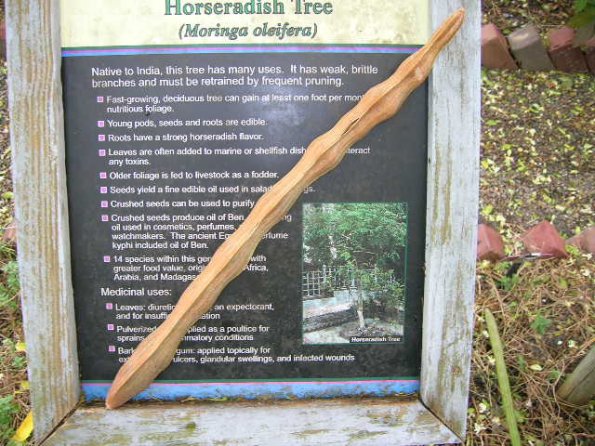 Horseradish sign Horseradish sign