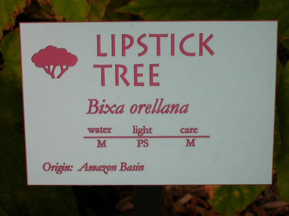 Lipstick tree botanical sign