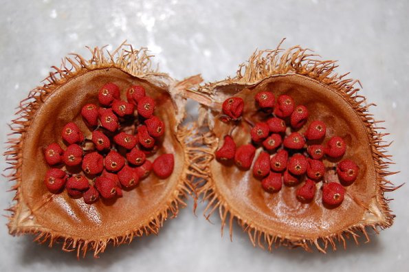 Bixa orellana seeds