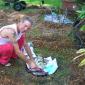 View the image: Protecting Plant From Weeds
