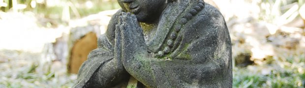 A Bamboo Garden:
Kanapaha Botanical Gardens