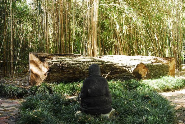 Kanapaha Botanical Gardens