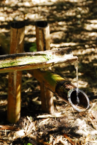 A Shishi odoshi Water Fountain