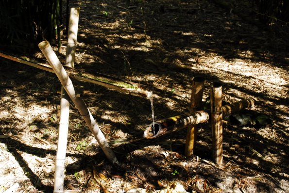 A Shishi odoshi Water Fountain