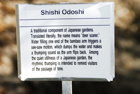 A Shishi odoshi Water Fountain