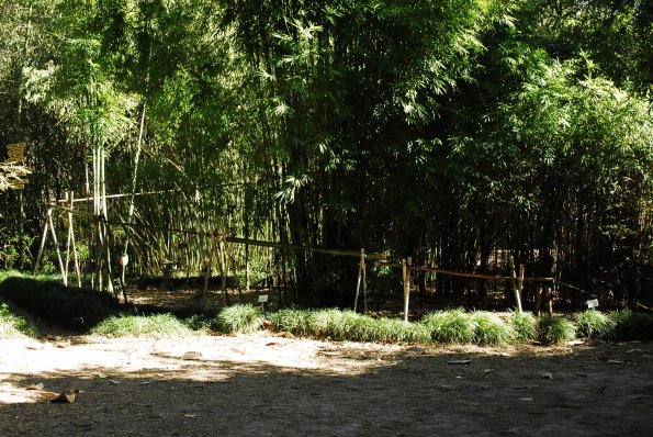 A Shishi odoshi Water Fountain