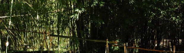 Shishi Odoshi:
A Shishi odoshi Water Fountain