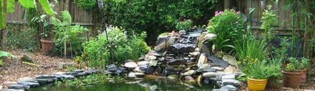 Making A Pond:
Finished pond