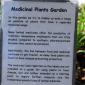 View the image: Medicinal Plant Information