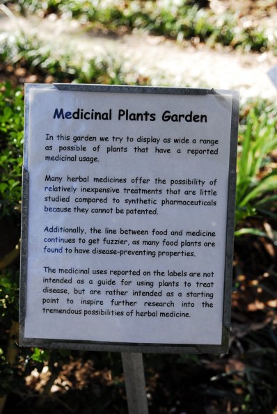 Medicinal Plant Information