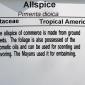 View the image: Allspice