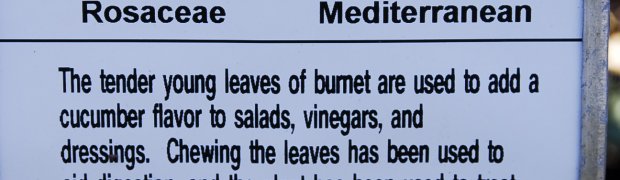 Burnet:
Burnet