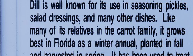 Dill:
Dill