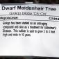 View the image: Dwarf Maidenhair