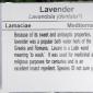 View the image: Lavender