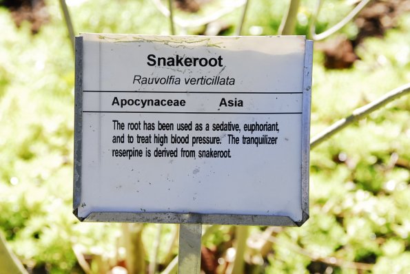 Snake Root