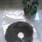 View the image: A Mushroom Spore Print