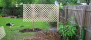 View the Album: A Divider Screen
 7 images(s)
