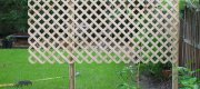 View the Album: A Divider Screen
 7 images(s)