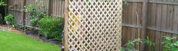 Shade Screens:
A Divider Screen:
Divider Screen