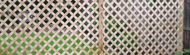 A Divider Screen:
Divider Screen