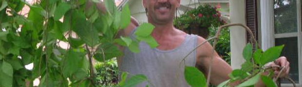 Planting a Banisteriopsis caapi Plant:
DSCN2606